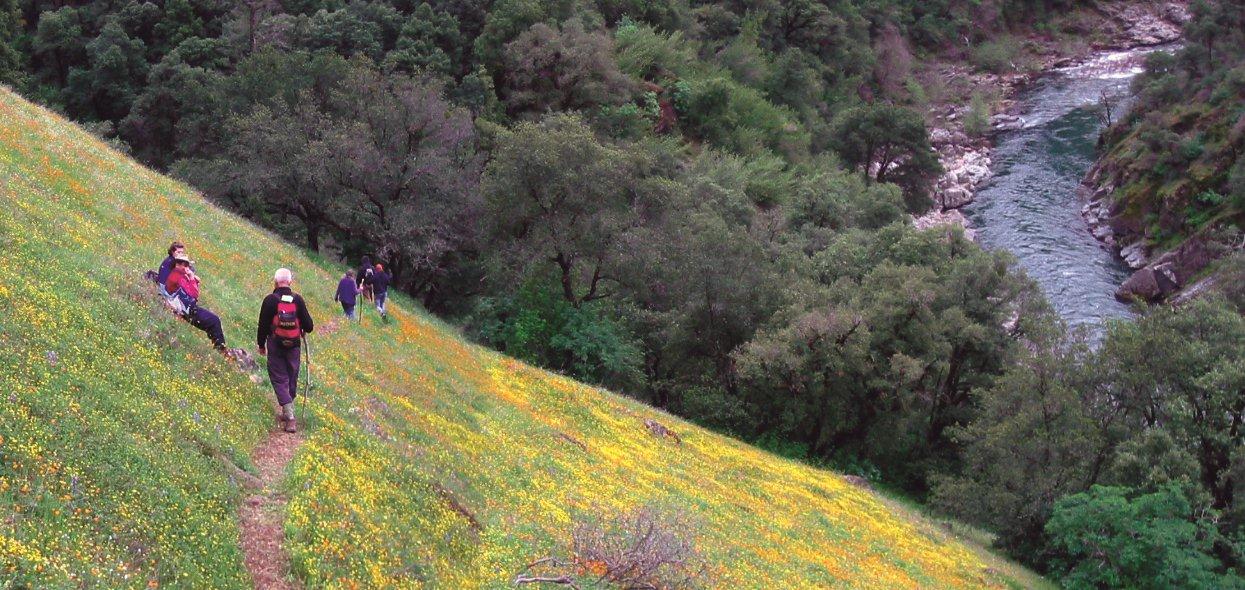 Hiking Trail
